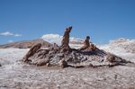 atacama