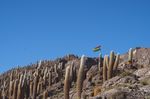 uyuni